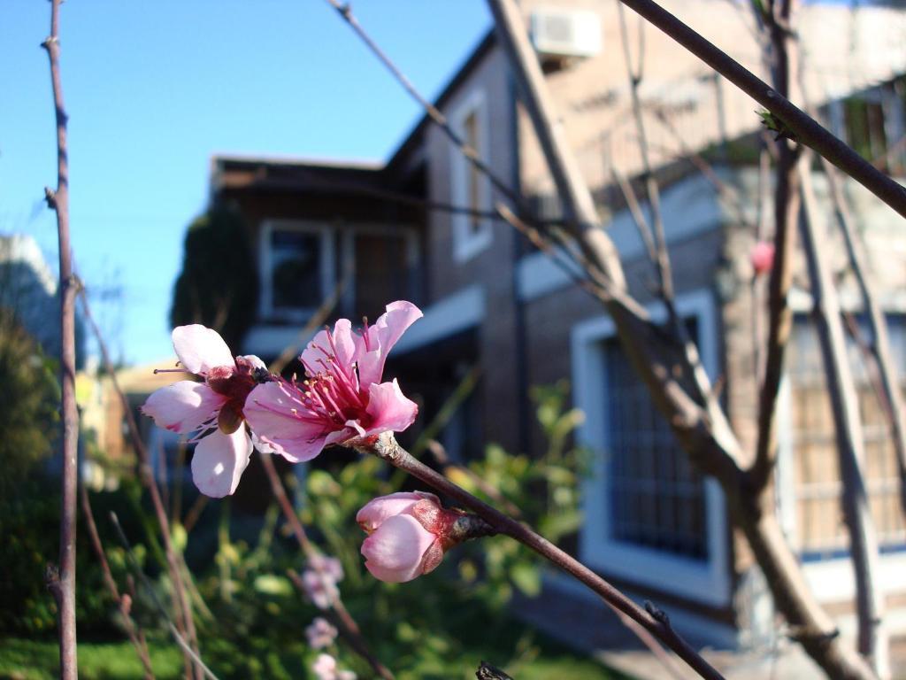 圣安东尼奥德阿雷科La Demorada住宿加早餐旅馆 外观 照片